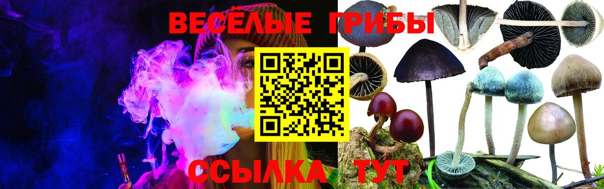 Галлюциногенные грибы мицелий  Вход с VPN  Севастополь 
